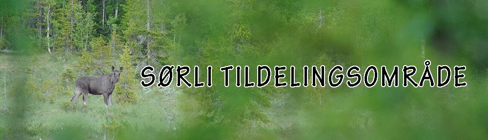 Sørli tildelingsområde